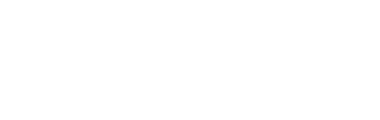 Using Big Data to Easily Identify Fraud with Zelis